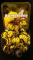 BUMBLEBEE-17-sb_photo.jpg