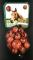 HORSE-7-sb_photo.jpg