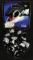 ORCA-20-sb_photo.jpg